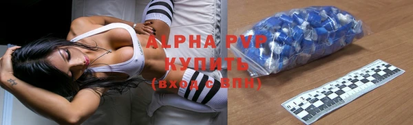 стаф Арсеньев