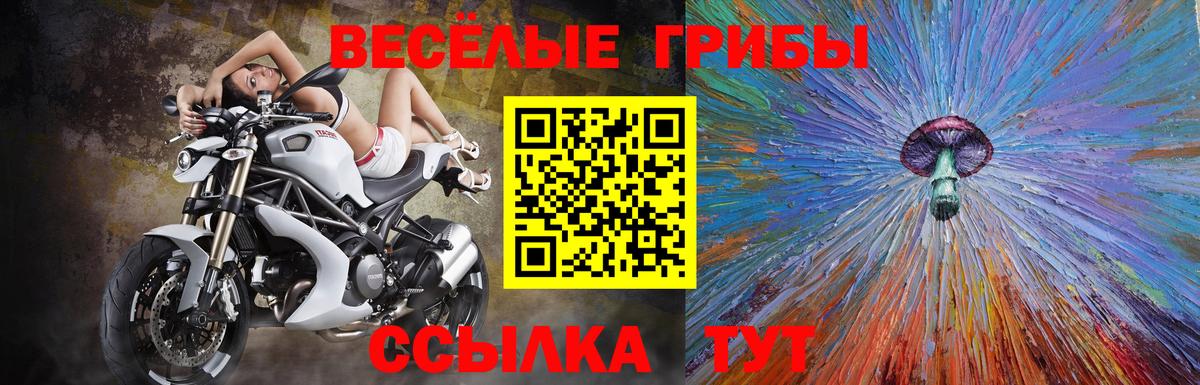 Псилоцибиновые грибы мицелий  Псилоцибиновые грибы Cubensis  Георгиевск  Вход с VPN 