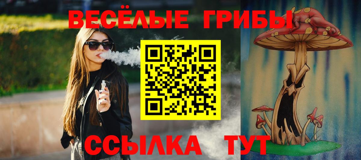 Псилоцибиновые грибы Cubensis Георгиевск